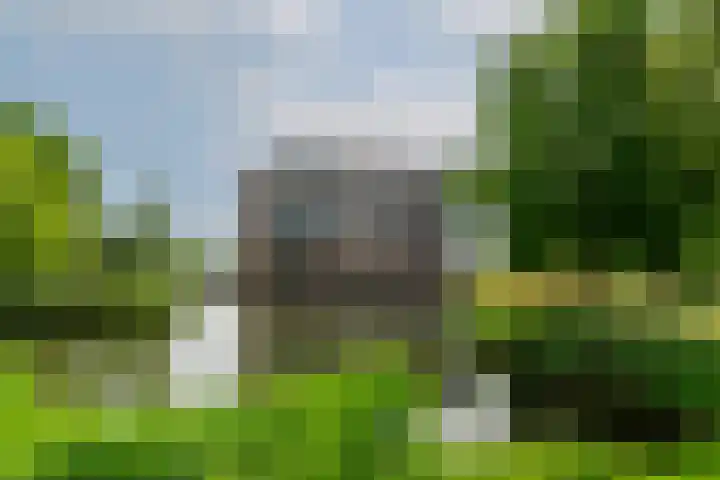 Palissanderhout 88 Barendrecht thumbnail 6