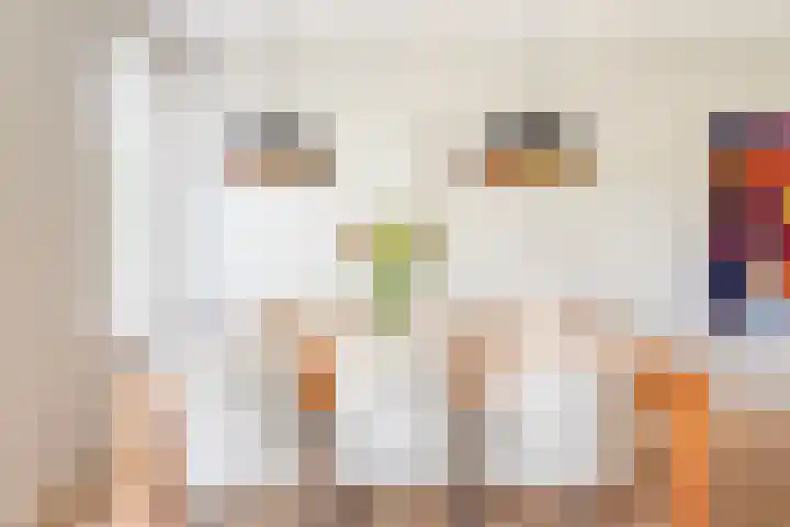 Palmlaan 16 Etten thumbnail 18