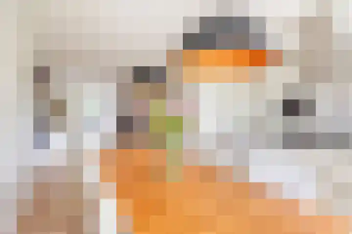 Palmlaan 16 Etten thumbnail 19
