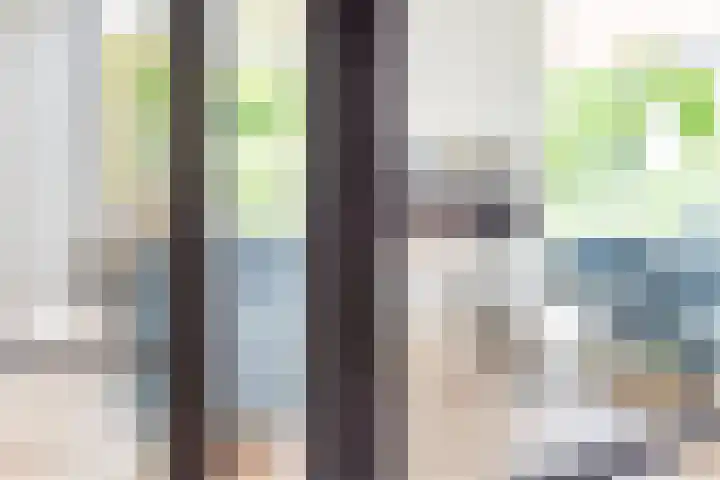 Palmlaan 16 Etten thumbnail 23
