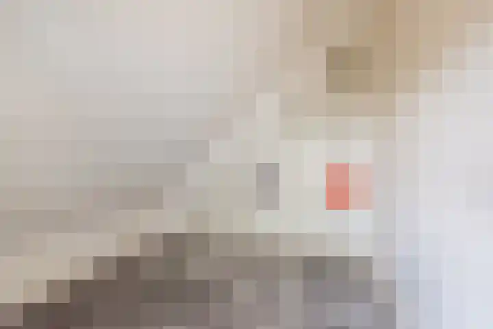 Palmlaan 16 Etten thumbnail 32