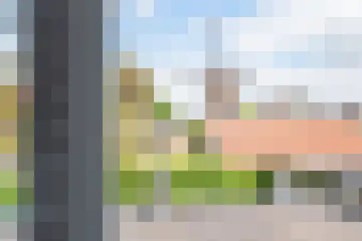 Palmlaan 16 Etten thumbnail 48