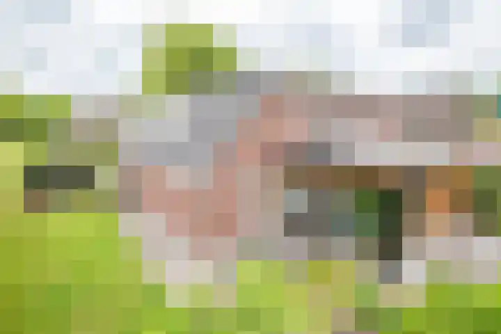 Palmlaan 16 Etten thumbnail 50