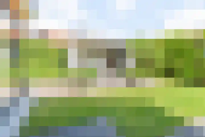 Palmlaan 16 Etten thumbnail 54