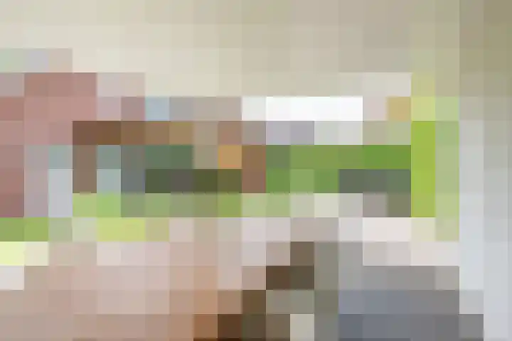 Palmlaan 16 Etten thumbnail 56