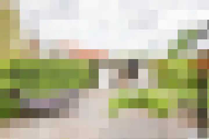Palmlaan 16 Etten thumbnail 58
