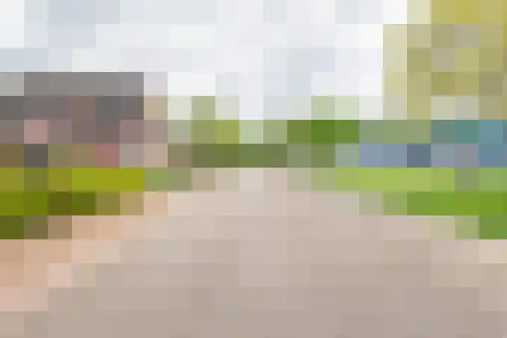 Palmlaan 16 Etten thumbnail 65