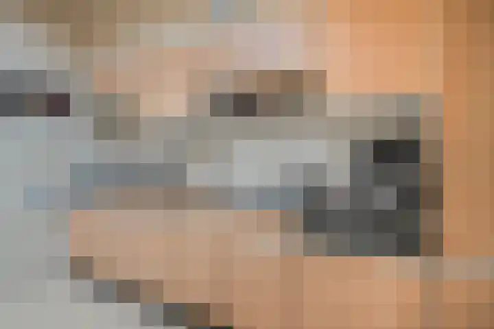 Palmstraat 15 Asten thumbnail 12