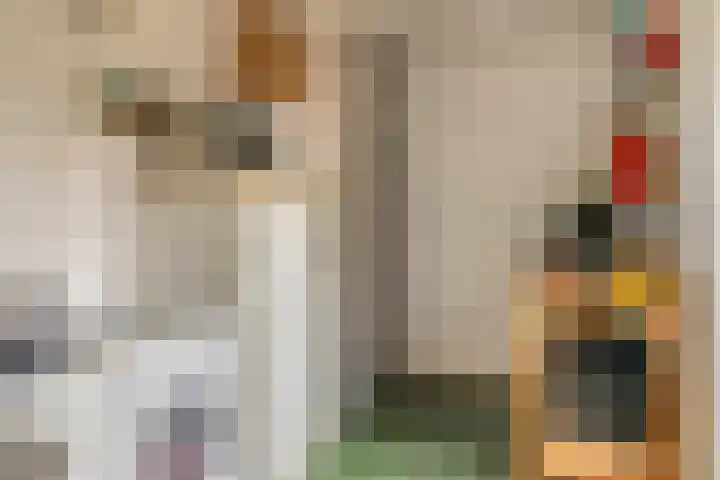Palmstraat 15 Asten thumbnail 13