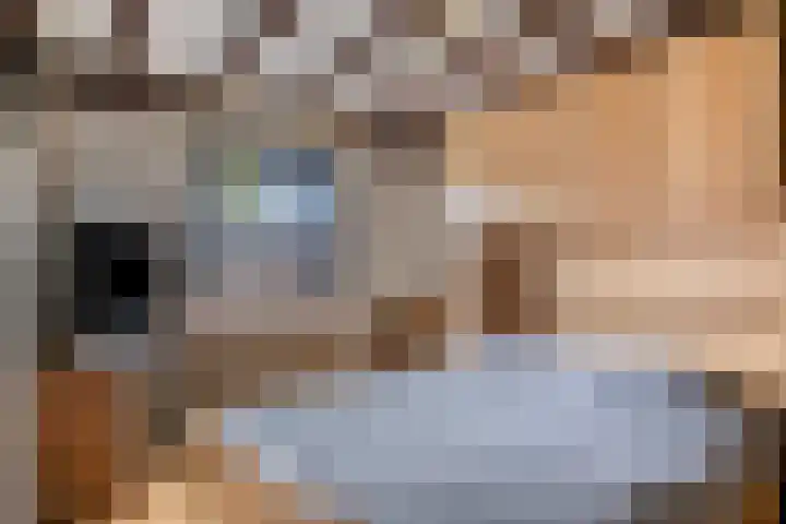 Palmstraat 15 Asten thumbnail 15