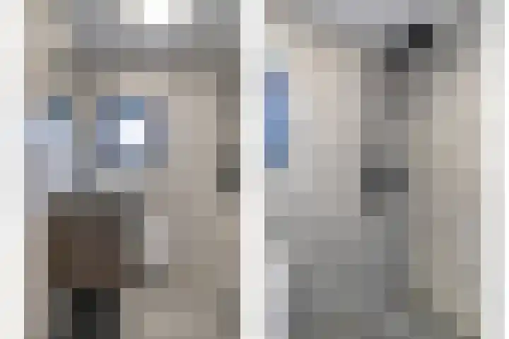 Palmstraat 15 Asten thumbnail 20
