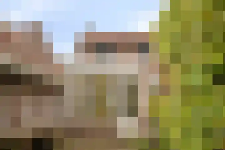 Palmstraat 15 Asten thumbnail 23