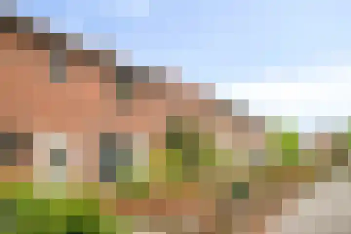 Palmstraat 15 Asten thumbnail 25
