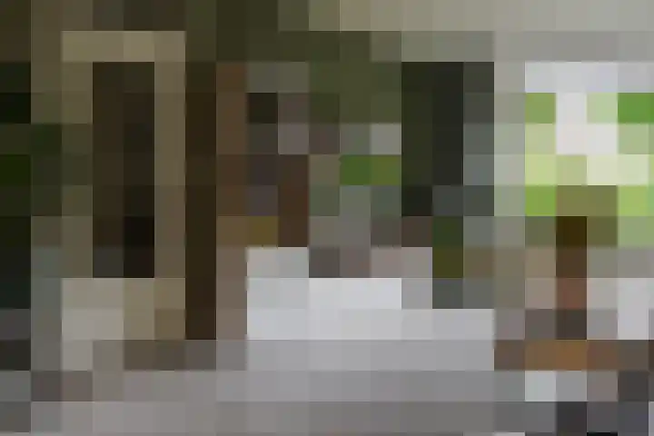 Palmstraat 20 Borne thumbnail 10