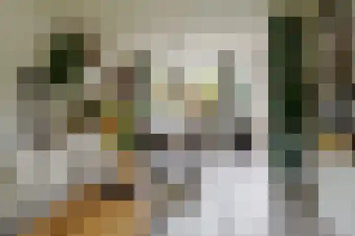 Palmstraat 20 Borne thumbnail 11