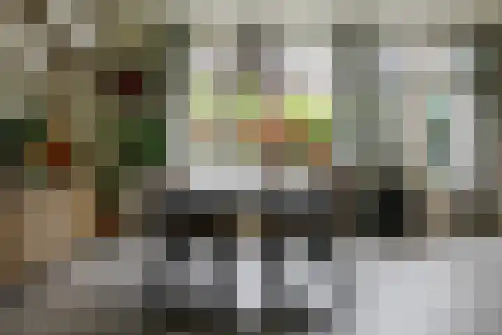 Palmstraat 20 Borne thumbnail 12