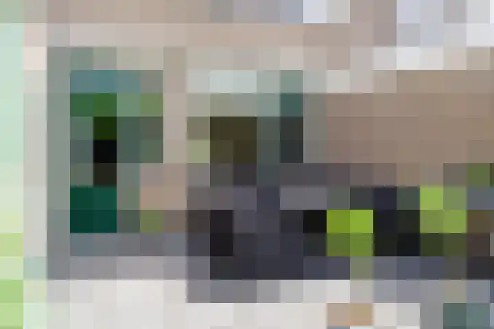 Palmstraat 20 Borne thumbnail 28