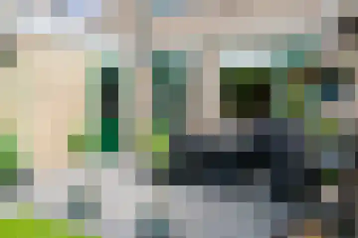 Palmstraat 20 Borne thumbnail 29