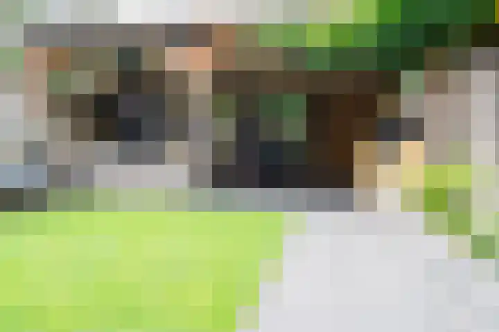 Palmstraat 20 Borne thumbnail 30