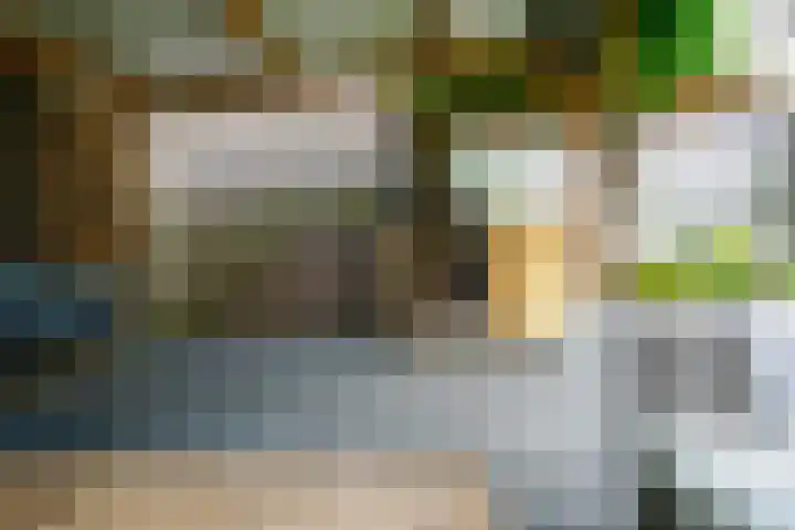 Palmstraat 20 Borne thumbnail 33
