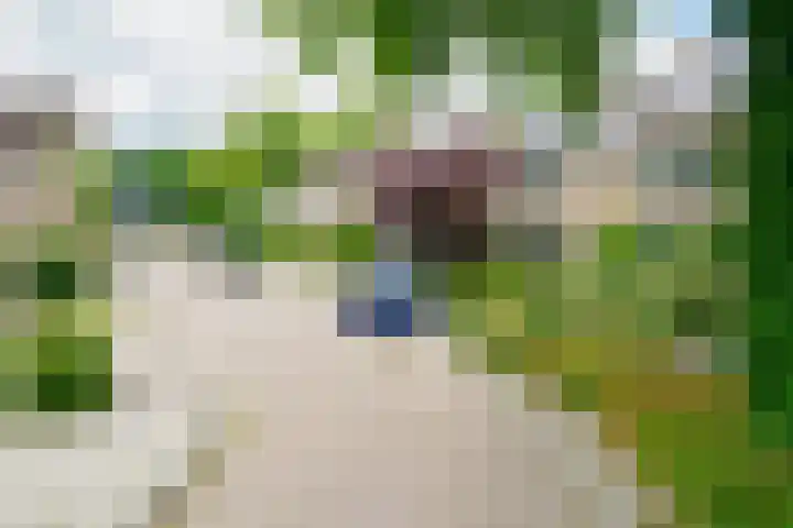 Palmstraat 20 Borne thumbnail 35