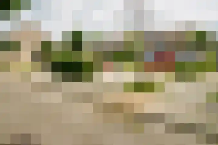 Palmstraat 20 Borne thumbnail 36