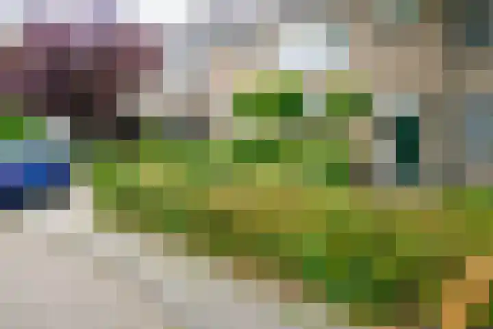 Palmstraat 20 Borne thumbnail 5