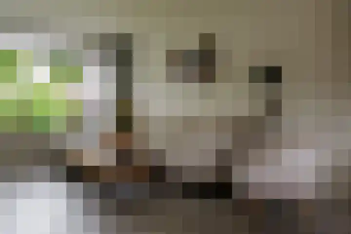 Palmstraat 20 Borne thumbnail 8