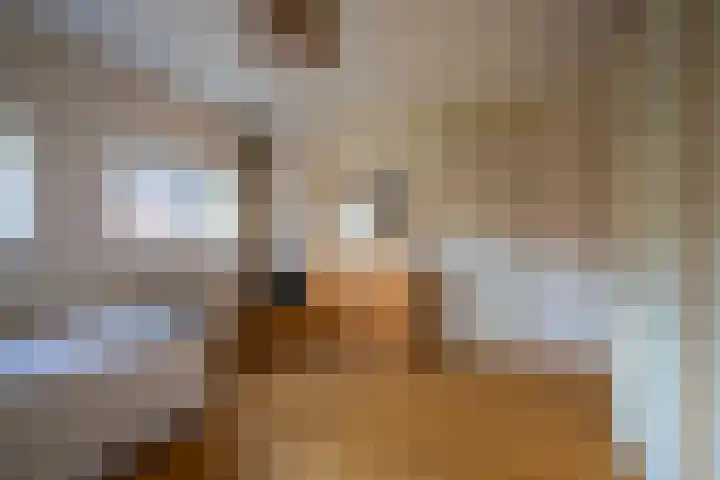 Palmyraplaats 100 Delft thumbnail 10