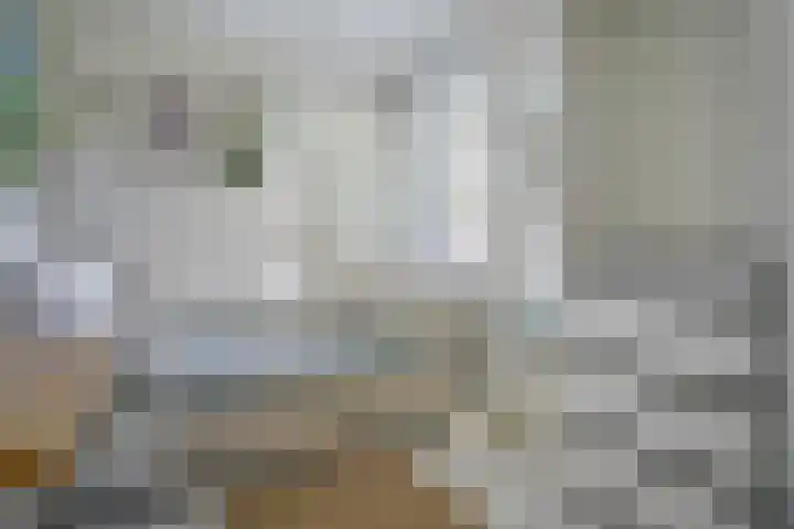 Palmyraplaats 100 Delft thumbnail 6