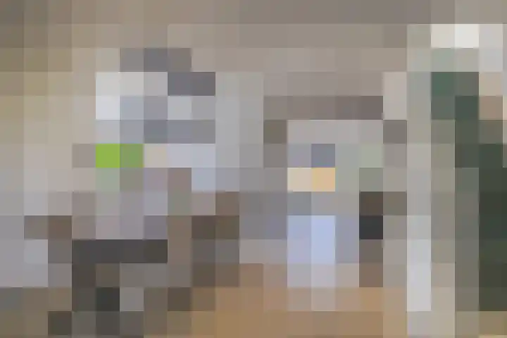 Pals 15 Westervoort thumbnail 13