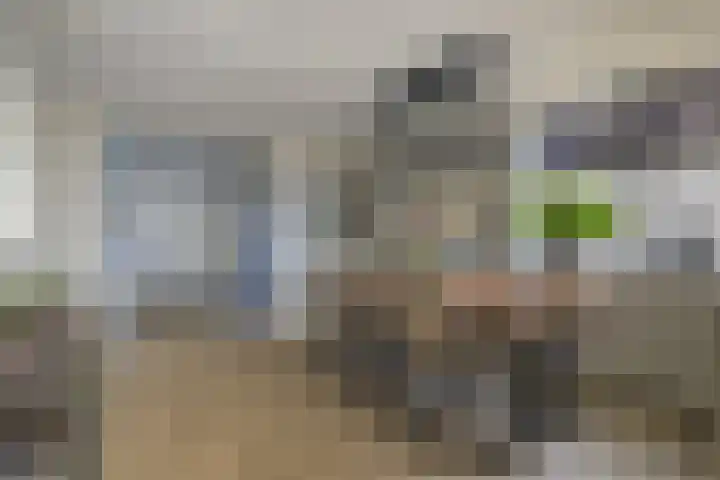 Pals 15 Westervoort thumbnail 14