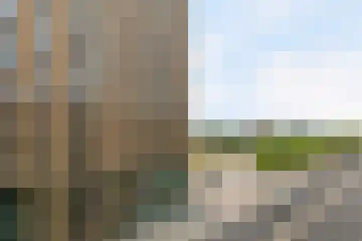 Pals 15 Westervoort thumbnail 22