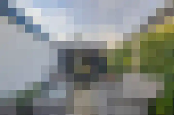 Pals 15 Westervoort thumbnail 23