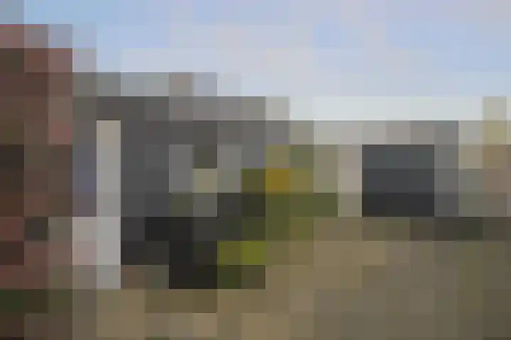 Pals 15 Westervoort thumbnail 27