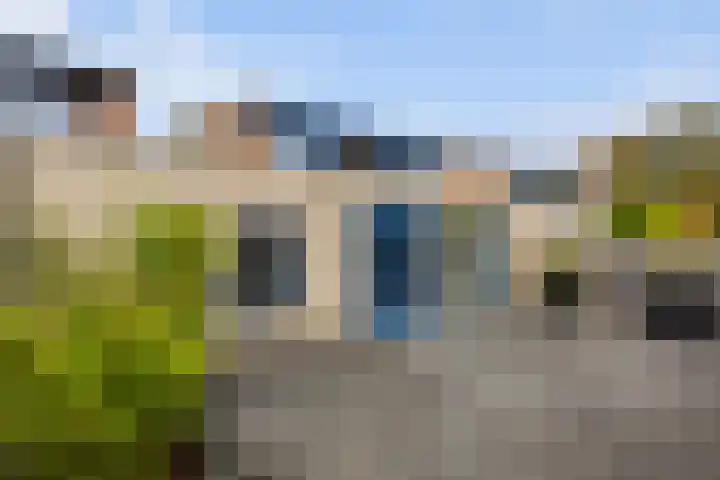 Pals 15 Westervoort thumbnail 37