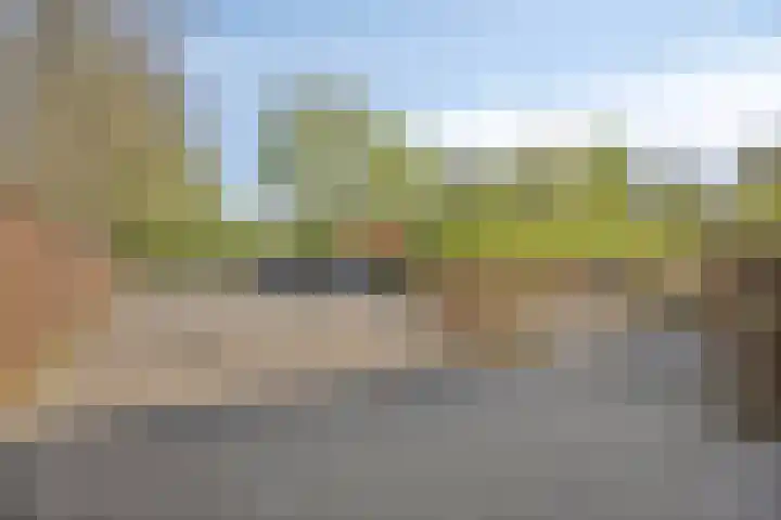 Pals 15 Westervoort thumbnail 4