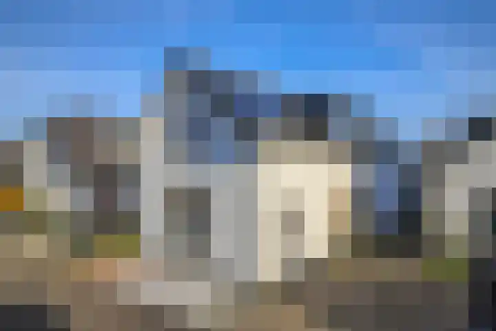 Pals 15 Westervoort thumbnail 5