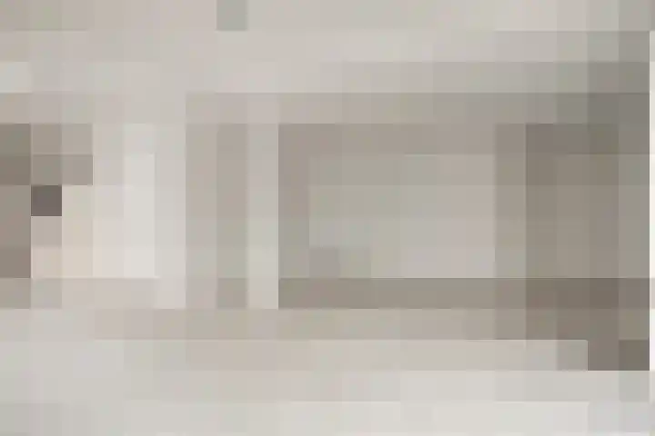 Pals 5 Westervoort thumbnail 15