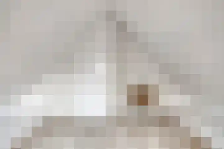 Pals 5 Westervoort thumbnail 23