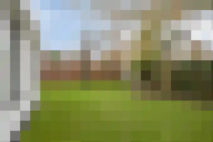 Pals 5 Westervoort thumbnail 30