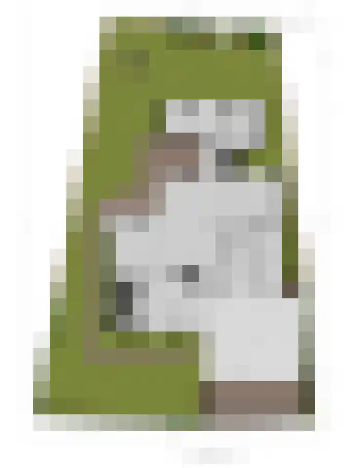 Pals 5 Westervoort thumbnail 32
