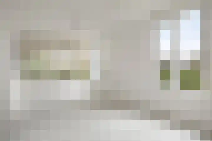 Pals 5 Westervoort thumbnail 7