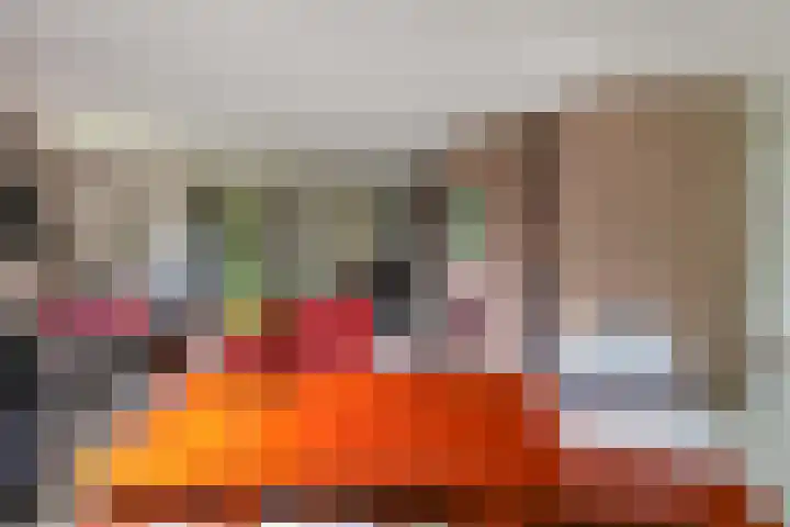 Pals 7 Westervoort thumbnail 12