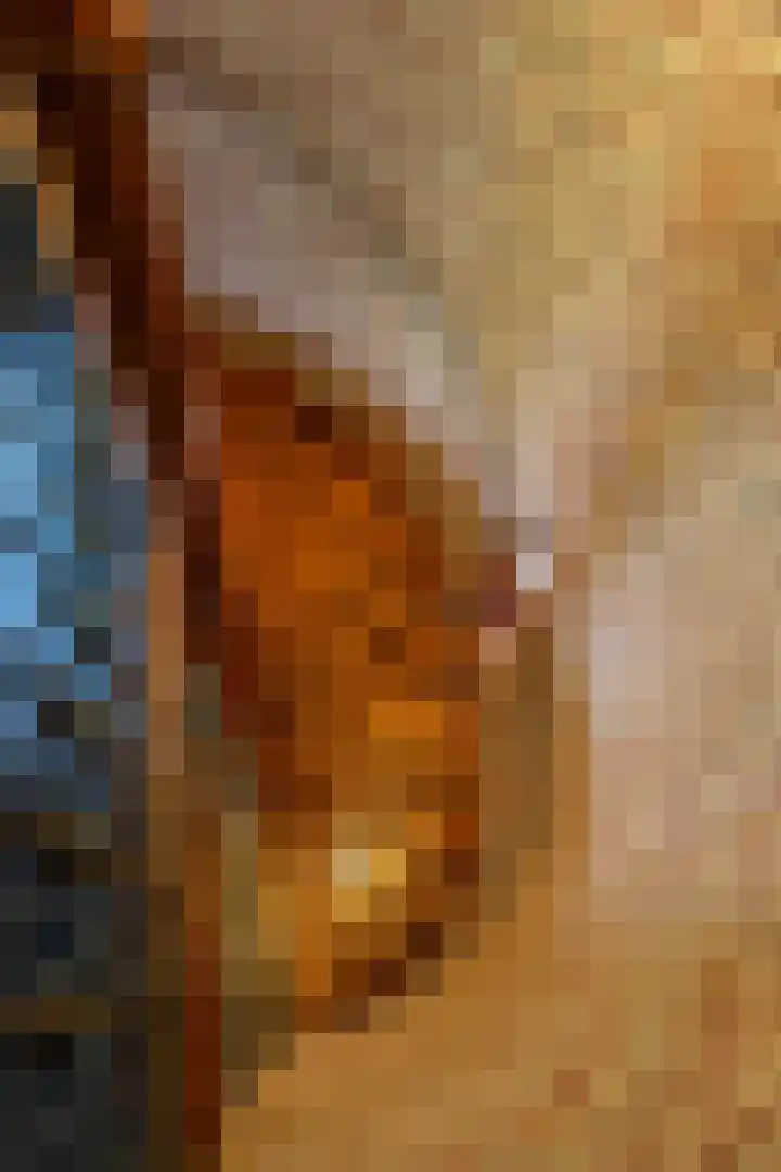Pals 7 Westervoort thumbnail 33