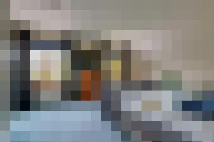 Pals 7 Westervoort thumbnail 37