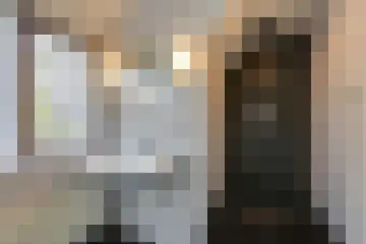 Pals 7 Westervoort thumbnail 47