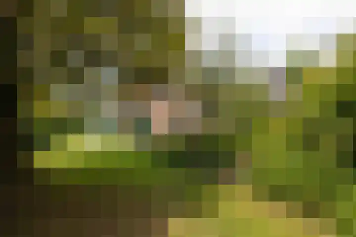 Pals 7 Westervoort thumbnail 52