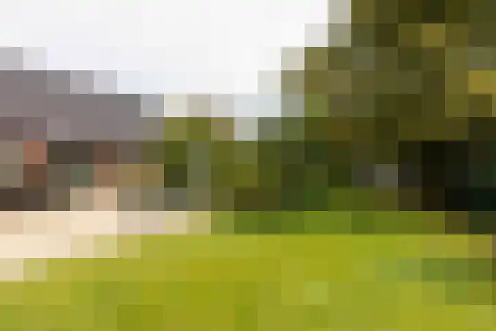 Pals 7 Westervoort thumbnail 55