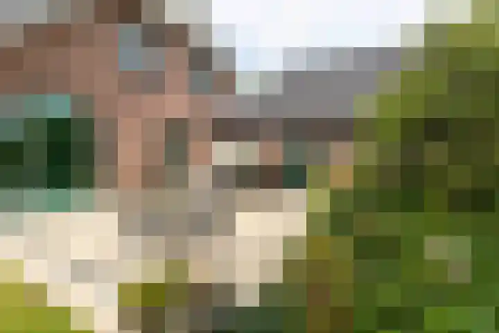 Pals 7 Westervoort thumbnail 56